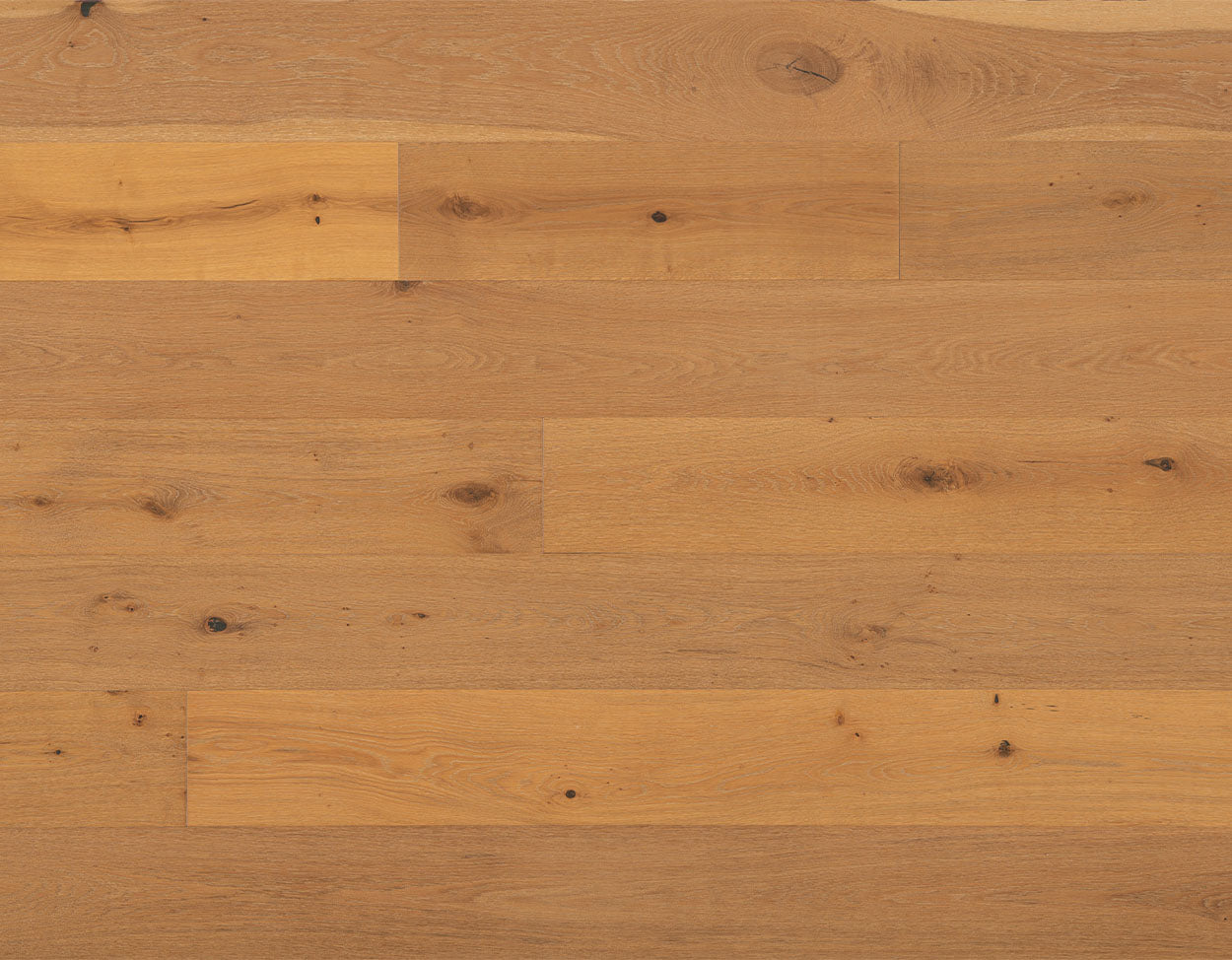 Engineered European White Oak Hardwood-Hardwick