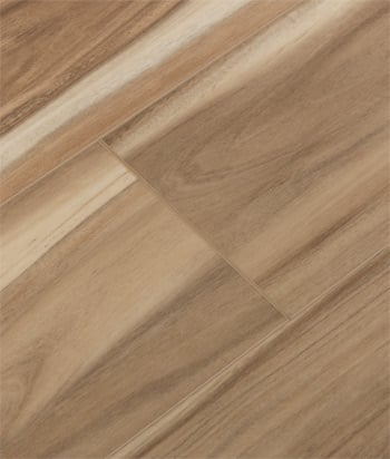 Coastal Eucalyptus Cali Vinyl Pro Windansea